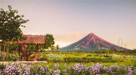 Discover Albay: A Hidden Gem of the P.